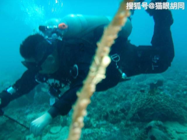 把电动车充电器与连接电源那一端剪短会不会有影响？游戏画面